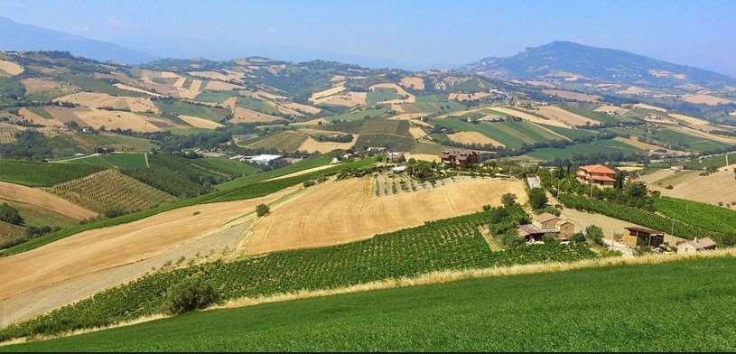 Vendita vendita, Montecalvo in Foglia foto
