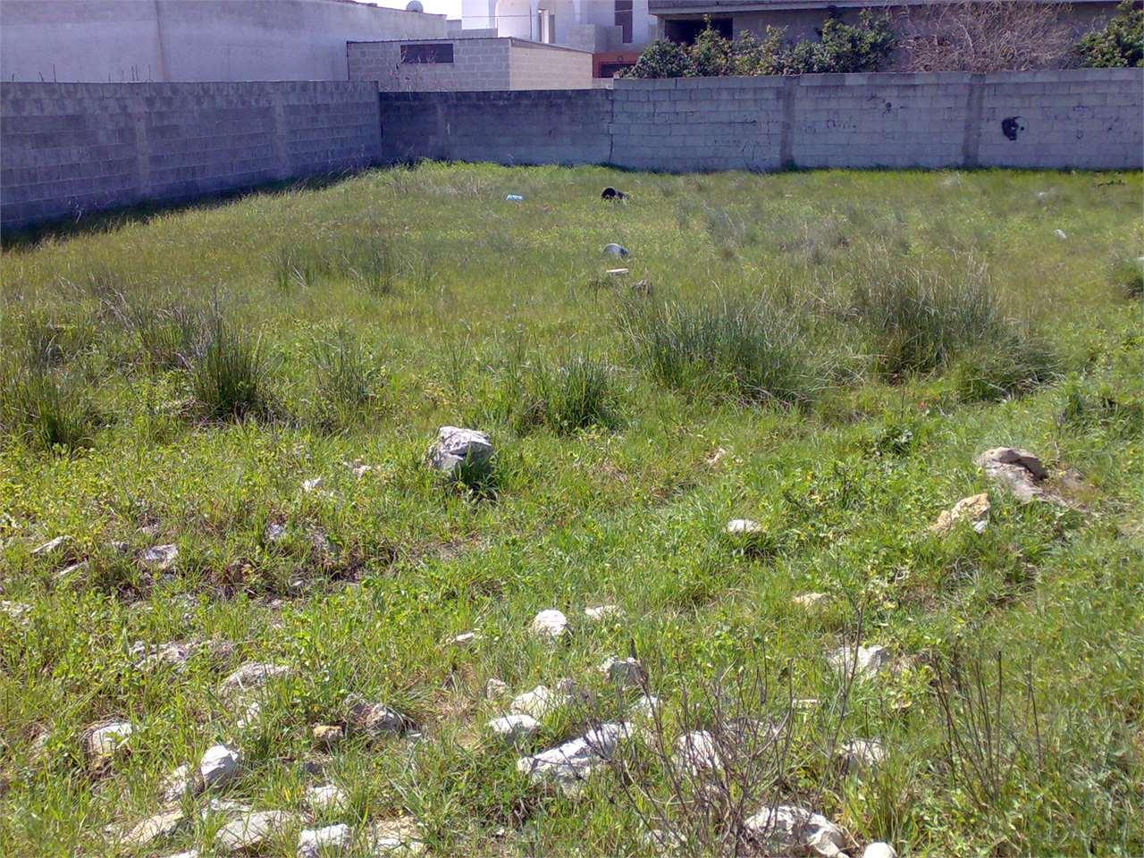 Vendita vendita, San Donaci foto