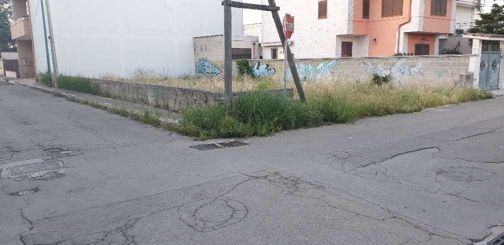 Vendita vendita, Cellino San Marco foto