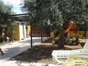 Affitto affitto, Marsala