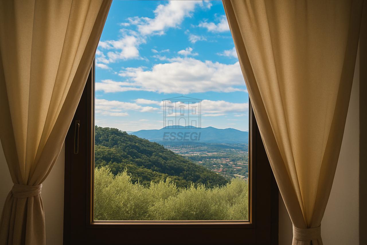 Vendita Case, Pescia foto