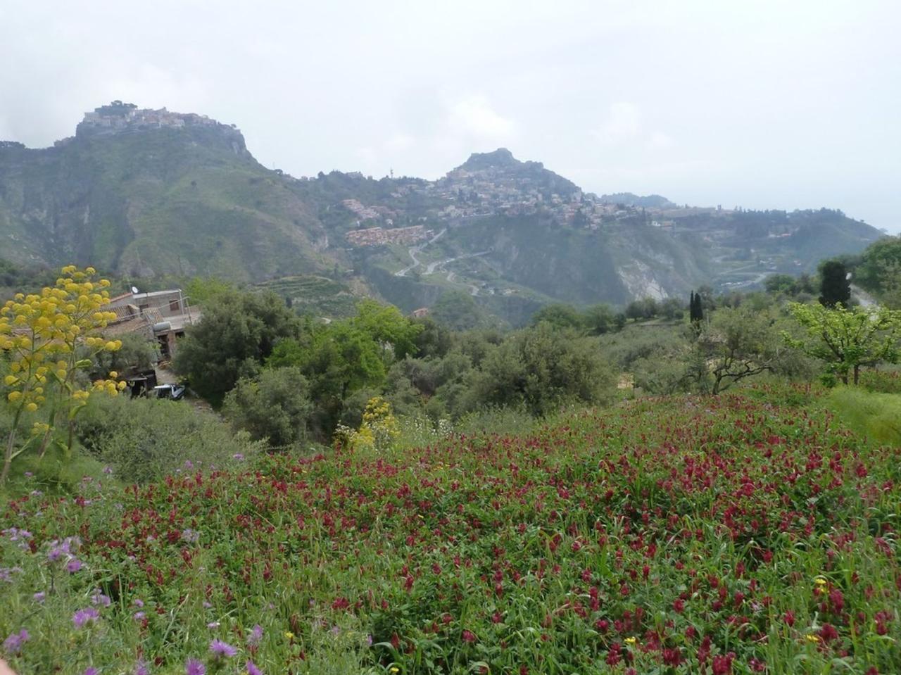 Vendita Esavani, Castelmola Vendita Esavani, Castelmola foto