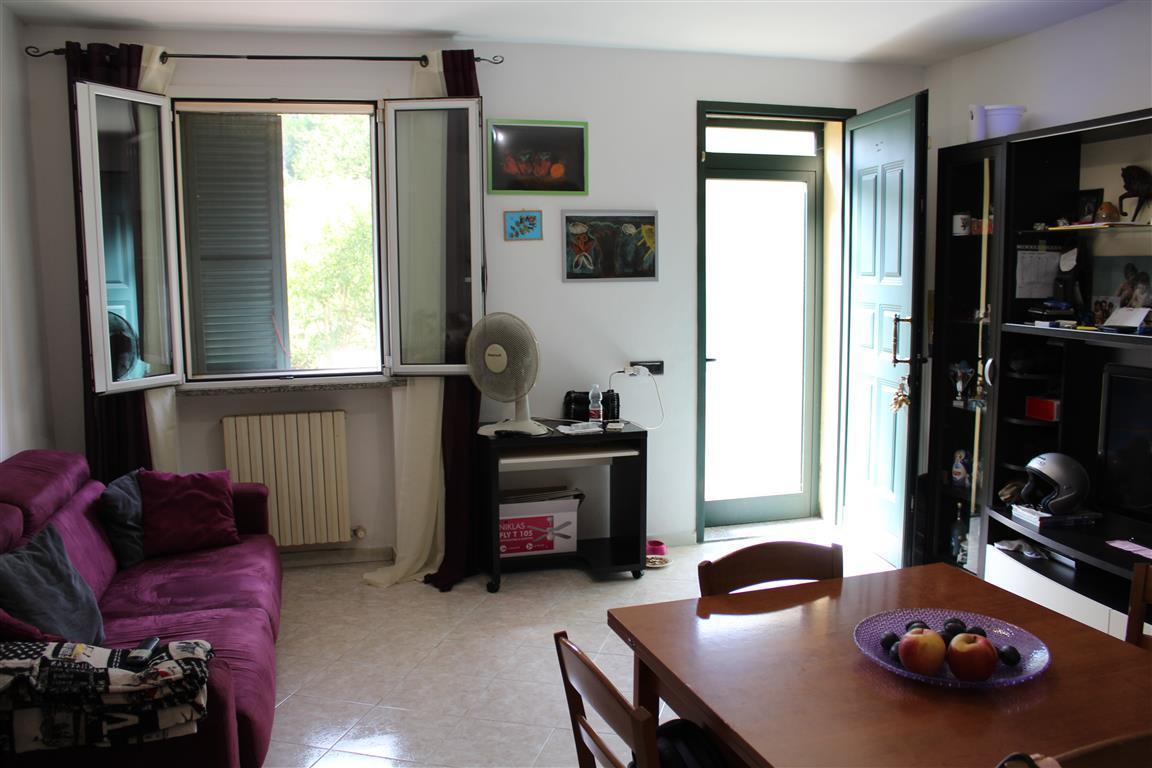 Vendita Appartamento, Sassocorvaro Auditore foto