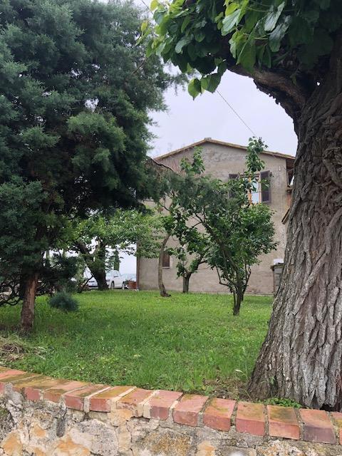 Vendita Rustico / Casale, Asciano foto