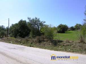 Vendita Trivani, Pachino Vendita Trivani, Pachino