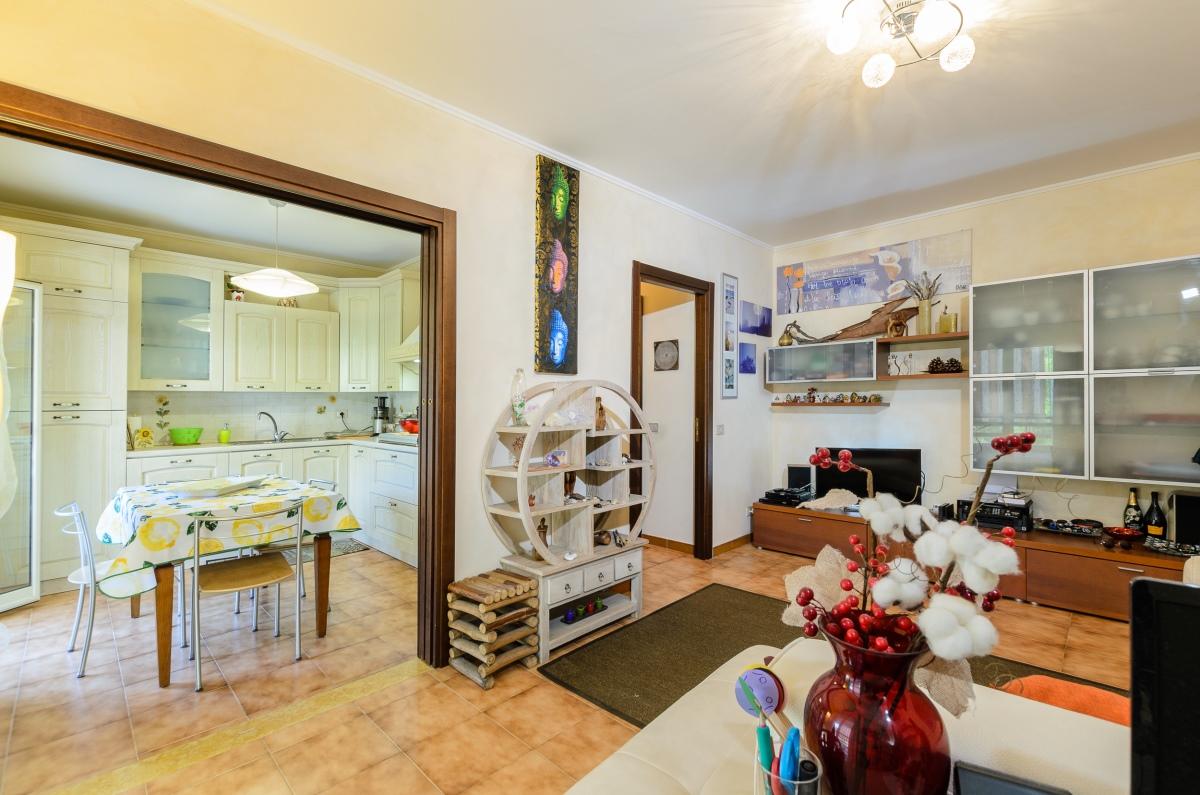 Vendita Pentavani, Furci Siculo foto