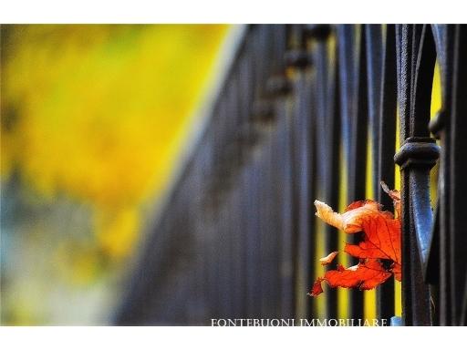Vendita BAR PASTICCERIA, Bagno a Ripoli foto