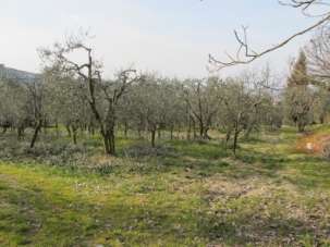 Vendita TERRENO AGRICOLO, Scandicci