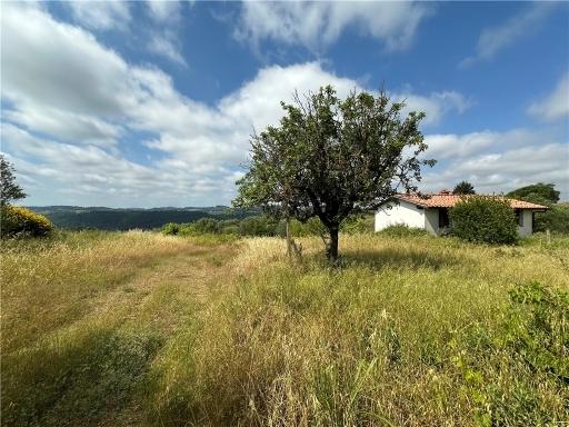 Verkauf TERRENO AGRICOLO, Lastra a Signa foto