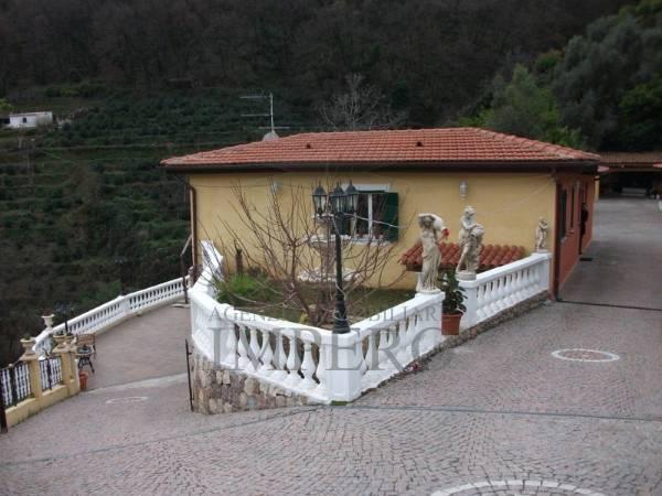 Venta Multivani, Ventimiglia foto