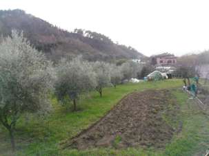 Vendita Monovano, Luni