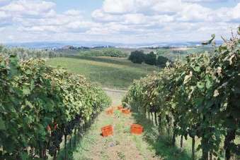 Vendita Quadrivani, Castelnuovo Berardenga Vendita Quadrivani, Castelnuovo Berardenga