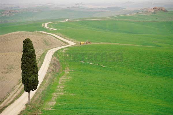 Affitto Trivani, Siena foto