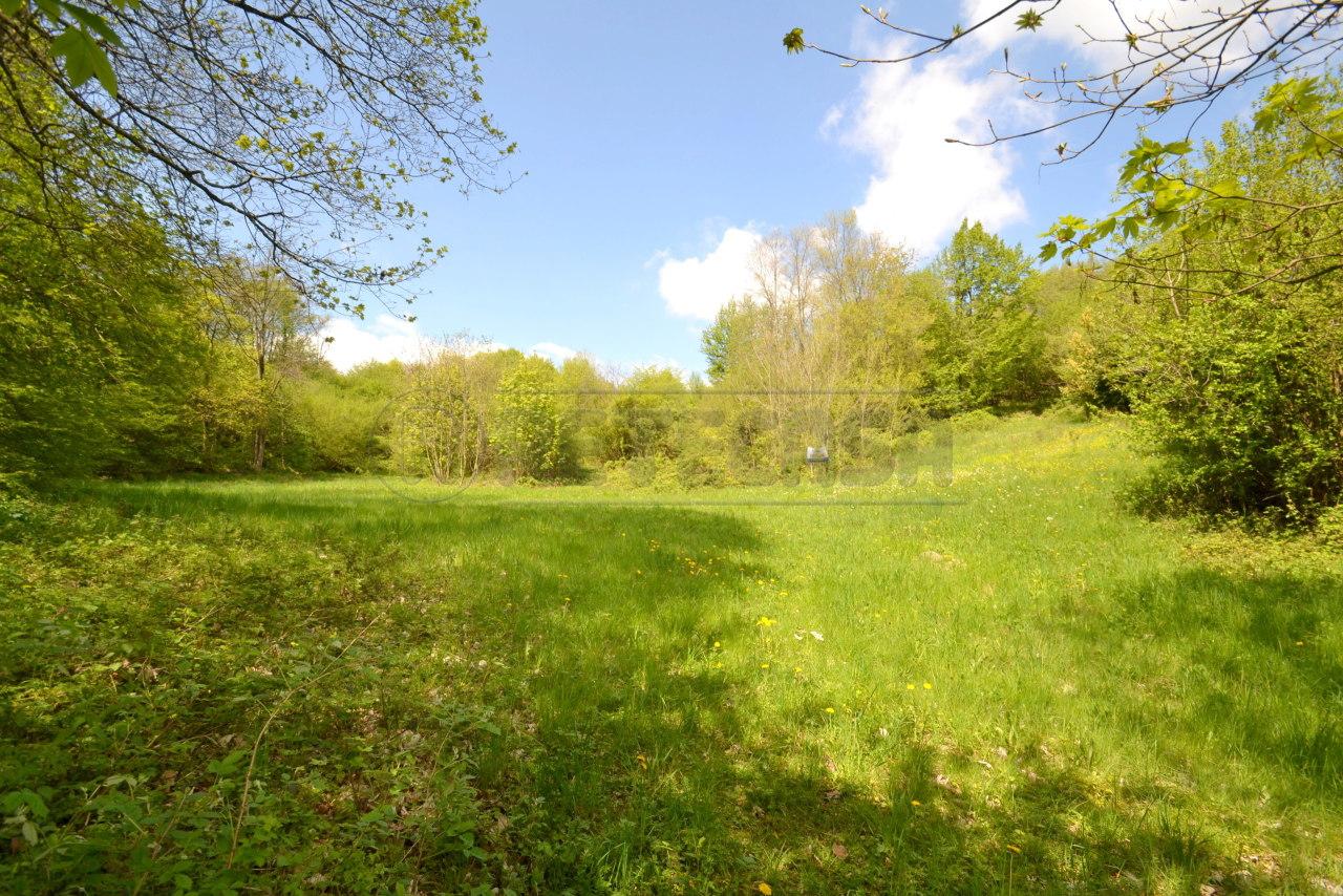 Vendita Terreni, Valdagno Vendita Terreni, Valdagno foto