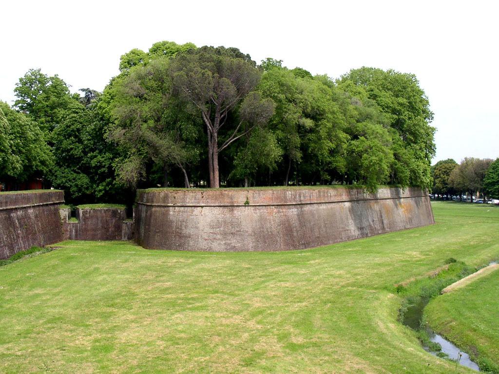 Vendita Multivani, Altopascio Vendita Multivani, Altopascio foto