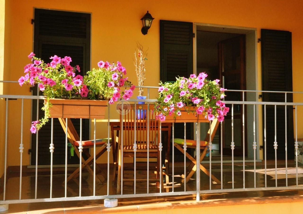 Venta Multivani, Castelnuovo Magra foto