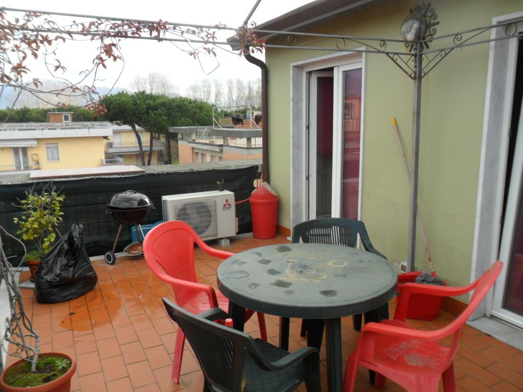 Vendita Trivani, Sarzana Vendita Trivani, Sarzana foto