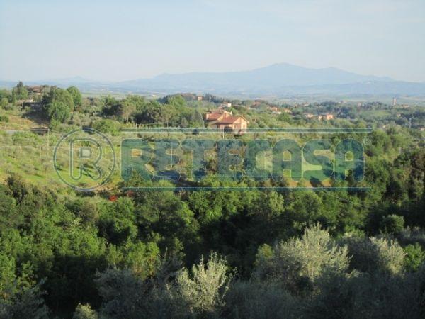 Vendita Trivani, Siena foto