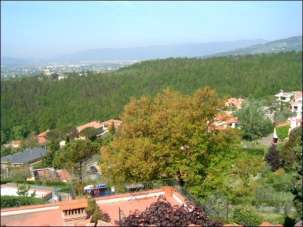 Vendita Esavani, Montale Vendita Esavani, Montale