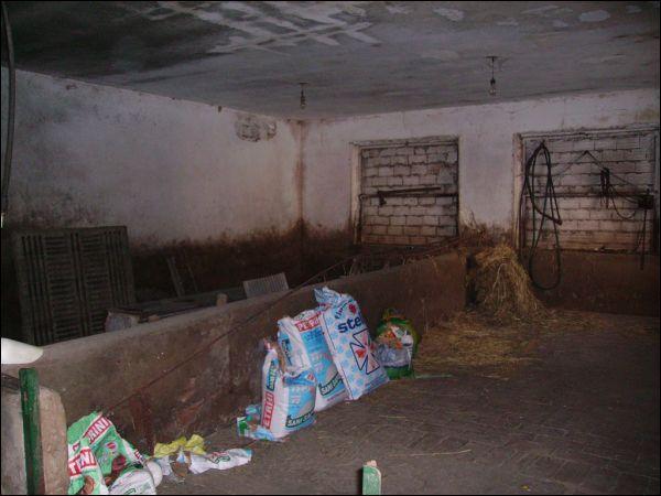 Vendita Multivani, Quarrata foto