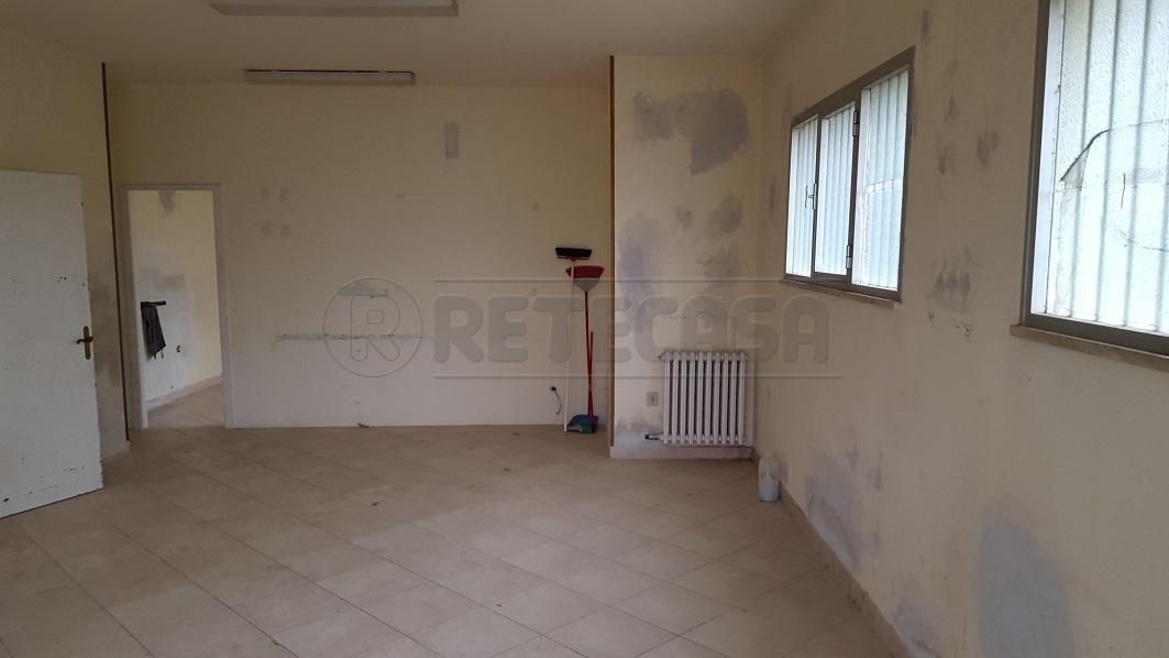 Affitto Quadrivani, Bientina foto