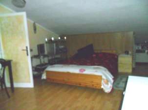 Venta Multivani, Ameglia