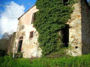 Vendita Multivani, Lavagna Vendita Multivani, Lavagna