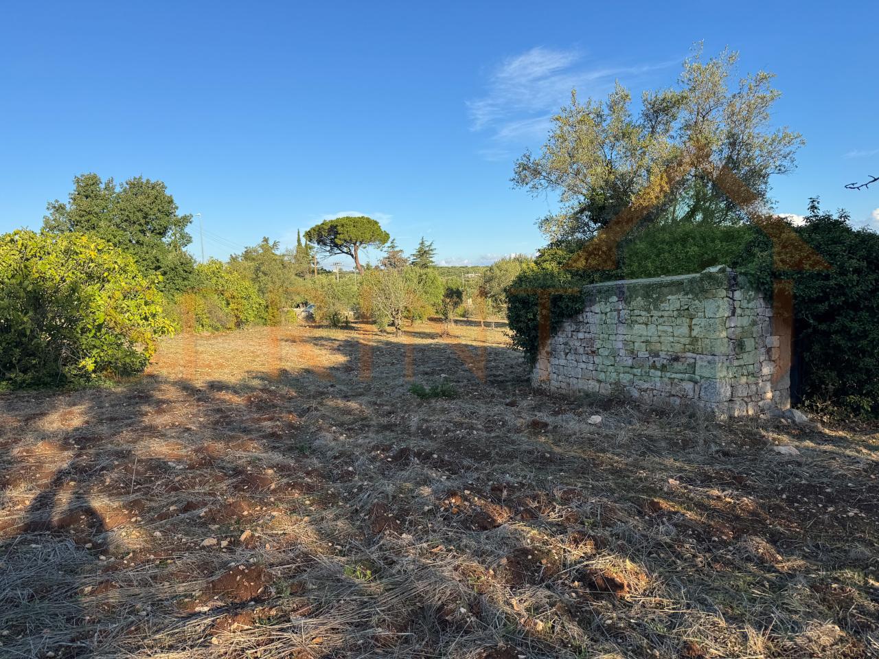 Verkauf Zimmer, Monopoli foto