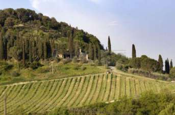 Vendita Case, San Gimignano Vendita Case, San Gimignano