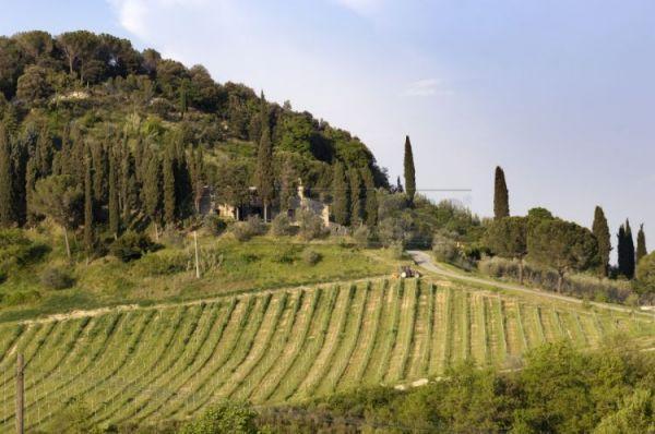 Vendita Case, San Gimignano Vendita Case, San Gimignano foto
