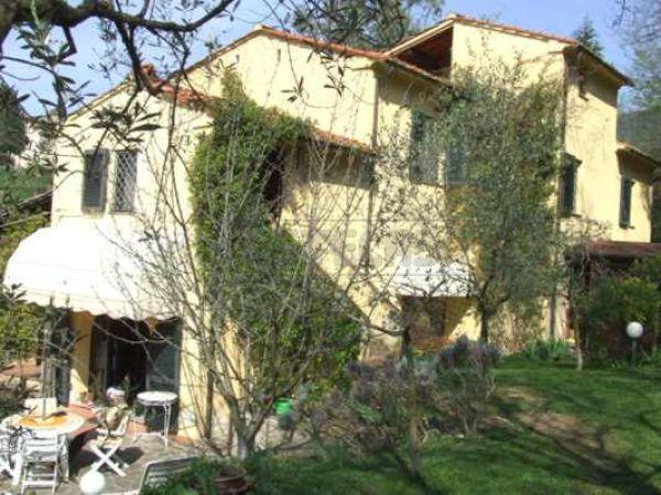 Verkauf Multivani, Vicopisano foto