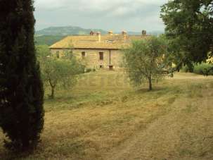Vendita Multivani, Castelnuovo di Val di Cecina