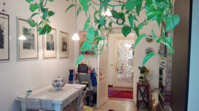 Vendita Pentavani, Sarzana