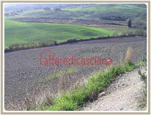 Vendita Terreni, Chianni