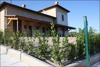 Vendita Quadrivani, Appignano del Tronto Vendita Quadrivani, Appignano del Tronto