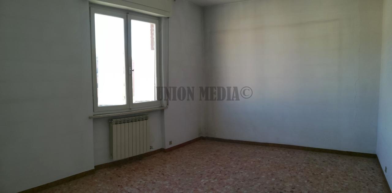 Vendita Trivani, Sarzana Vendita Trivani, Sarzana foto