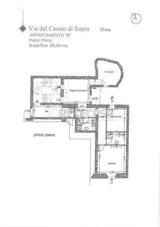 Vendita Trivani, Siena Vendita Trivani, Siena foto