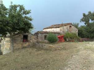 Vendita Multivani, Monticiano
