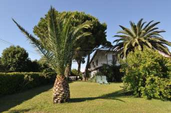 Vendita Eptavani, Follonica