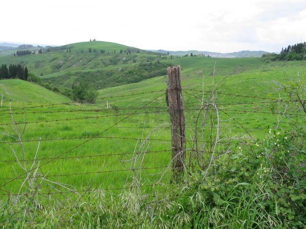 Vendita Trivani, San Gimignano Vendita Trivani, San Gimignano foto