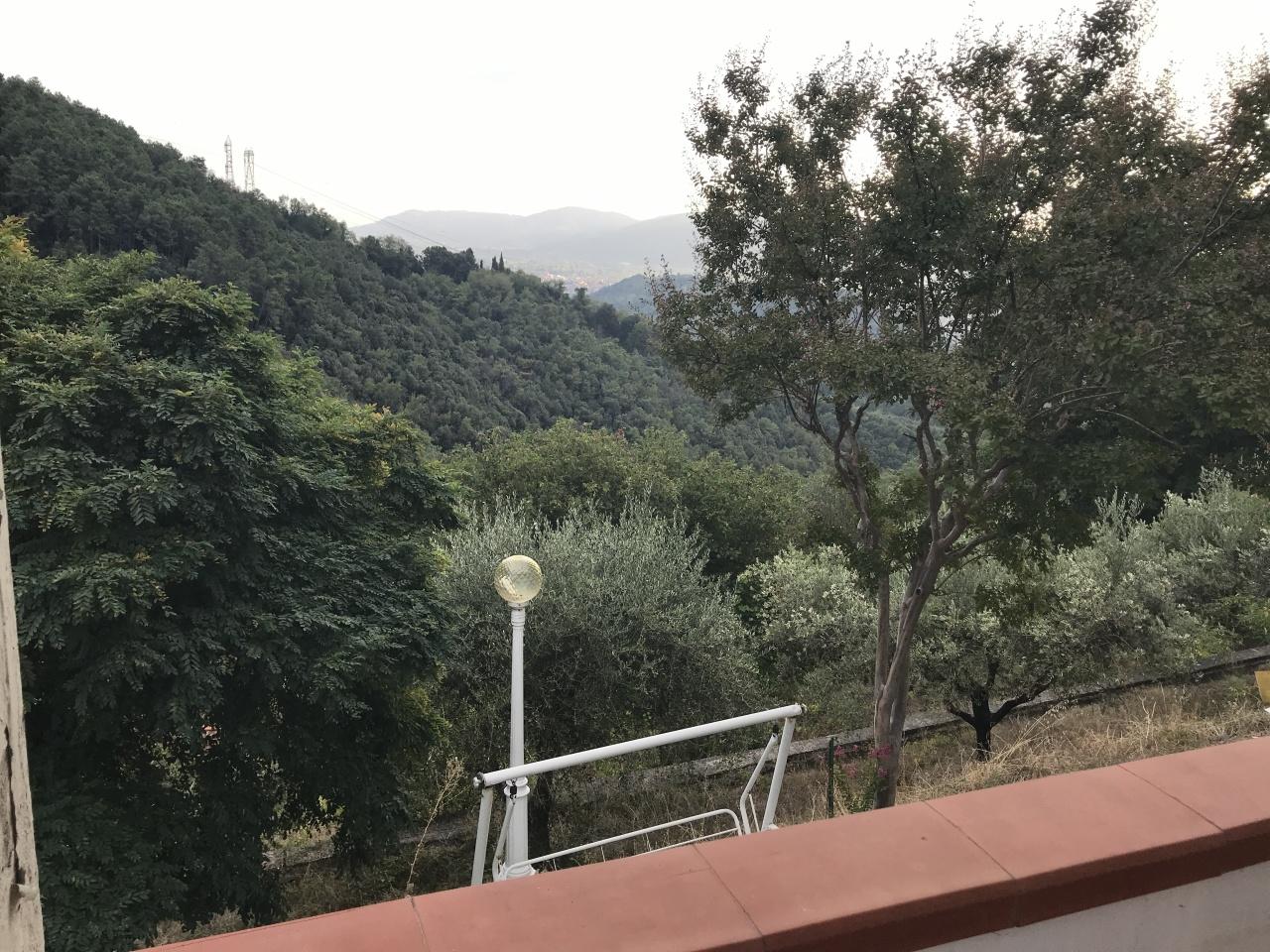 Vendita Pentavani, Sarzana foto