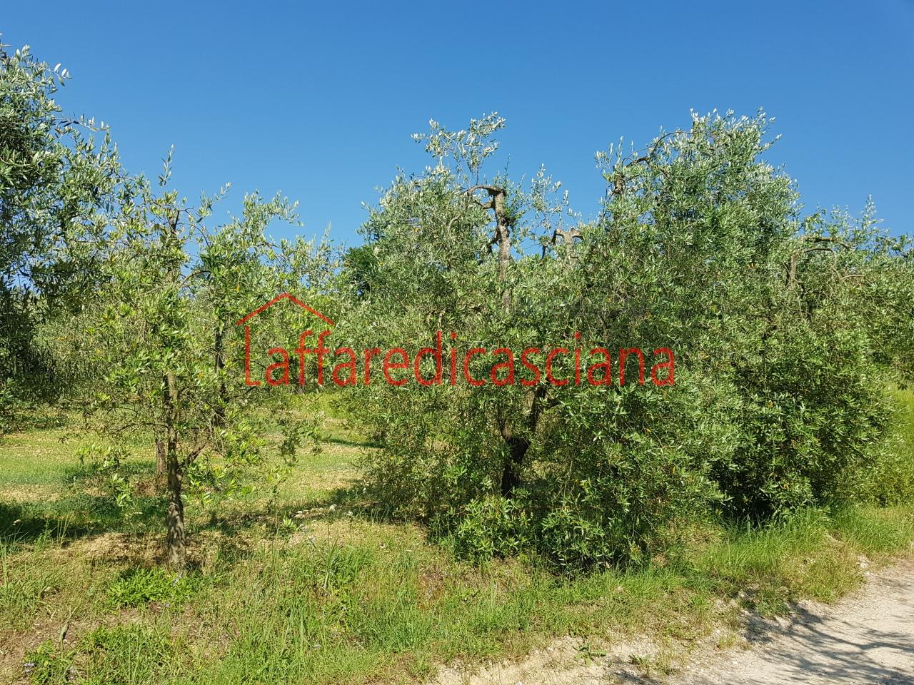 Vendita Terreni, Casciana Terme Lari foto