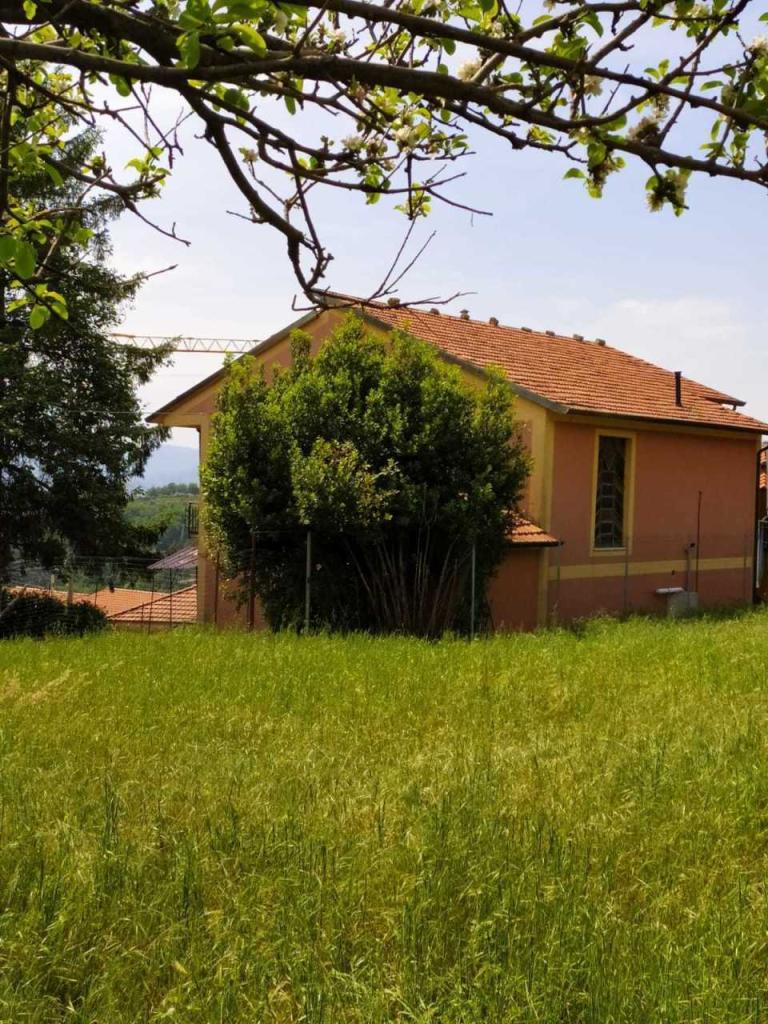 Vendita Multivani, Sarzana foto
