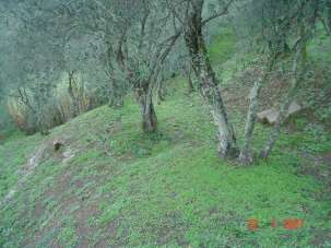 Vendita Monovano, Luni