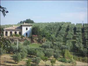 Vendita Case, Appignano del Tronto