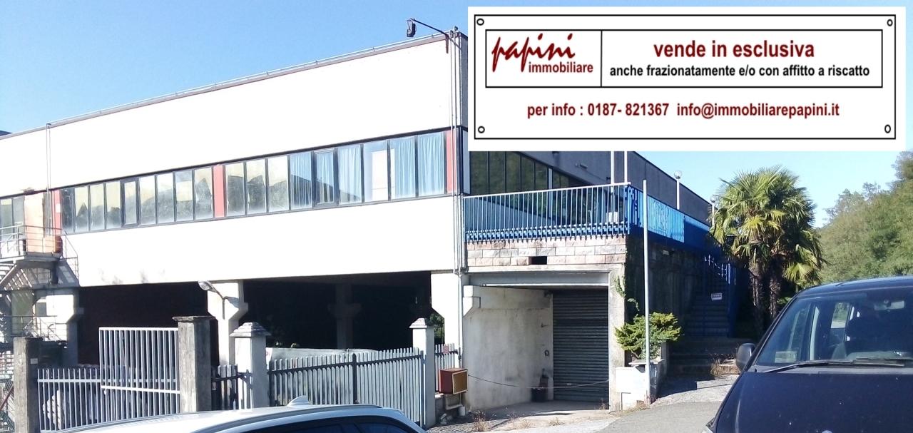 Vendita Multivani, Ricco del Golfo di Spezia foto