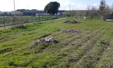 Vendita Case, Carrara Vendita Case, Carrara