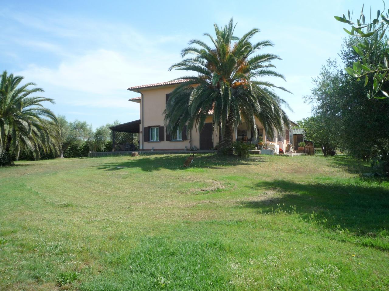 Venta Multivani, Bibbona foto
