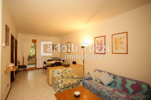 Vendita Pentavani, Grosseto foto