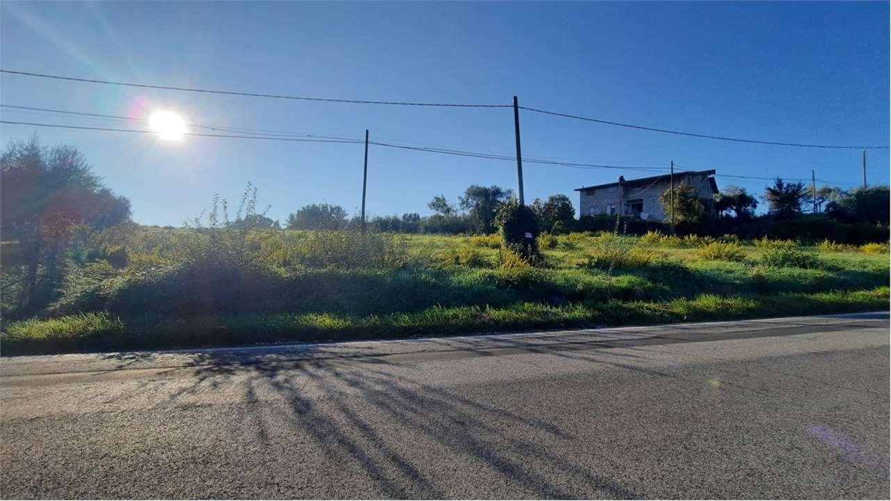 Sale vendita, Monte San Giovanni Campano foto